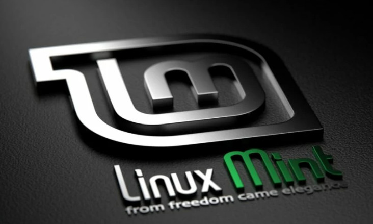 Linux Mint 22.1 Xia Cinnamon USB Drive – Premium Quality, Same-Day Shipping!2025 gallery