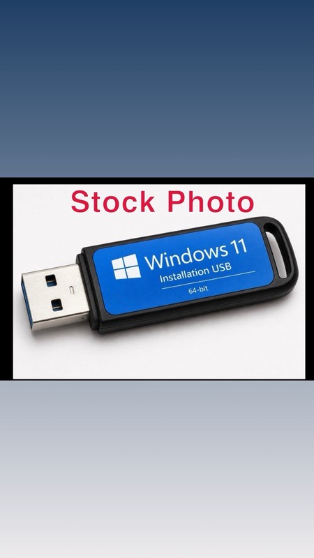 Windows 11 Internet of Things (IoT) Enterprise LTSC 2024 in USB