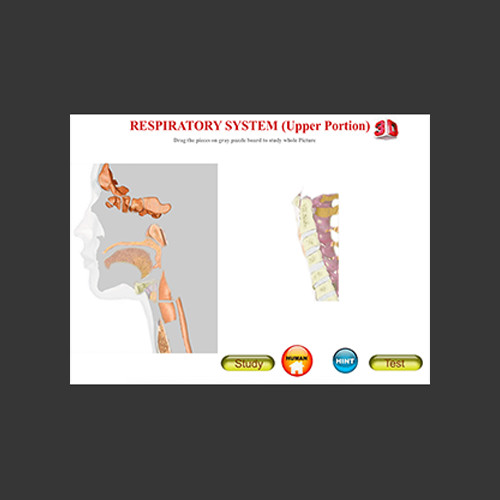 ANATOMY 3D - Human Anatomy, Animal, Plant, Insect (Windows or Mac) gallery