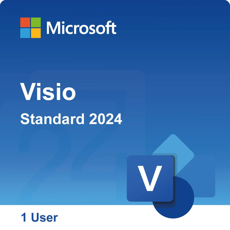 MS VISIO Professional 2024 1PC