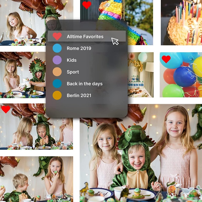 MAGIX Photostory Deluxe 2023 | Photo Editor Windows 10 [1 License | License] gallery