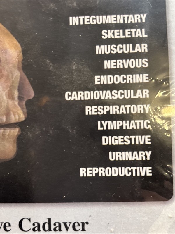 Anatomy & Physiology Revealed - Version 2.0 (CD-ROM) McGraw-Hill gallery
