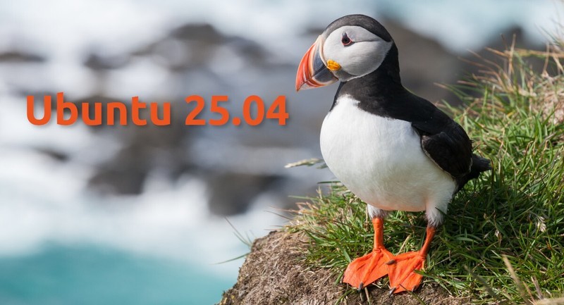 Ubuntu 25.04 Desktop Bootable USB Live/Installer – Experience Cutting-Edge Linux gallery