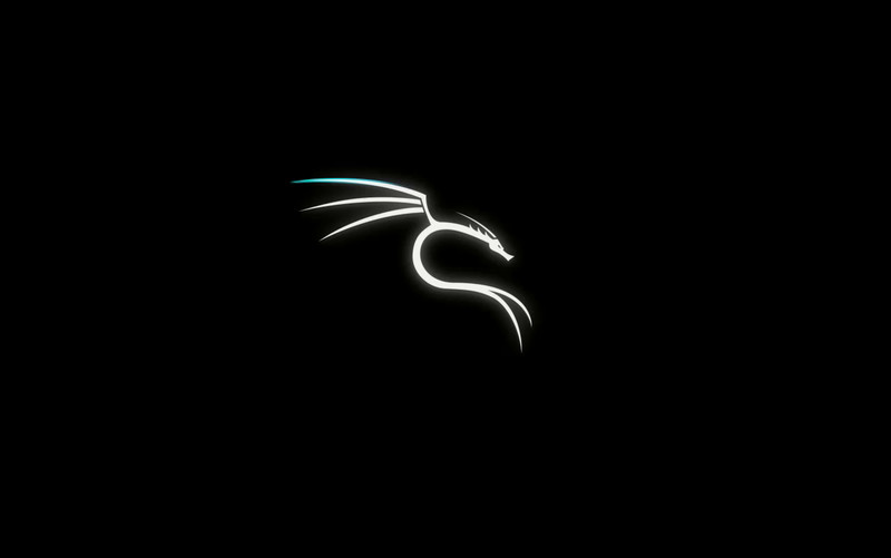 Kali Linux Everything custom install – bootable Network Penetration Testing SSD