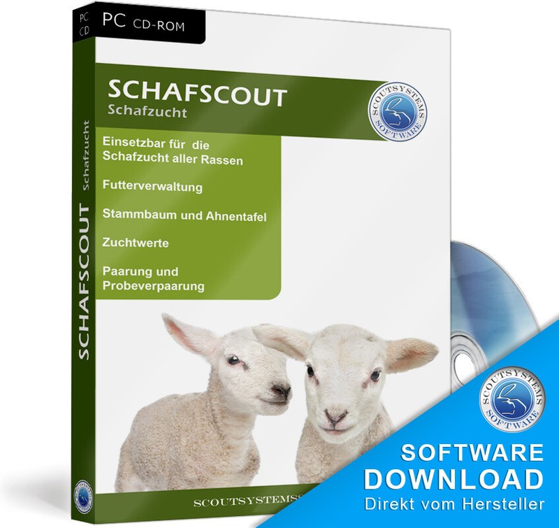 Sheep, wool sheep, meat sheep, milk sheep, lambs, sheep breeding, breeding program, IT