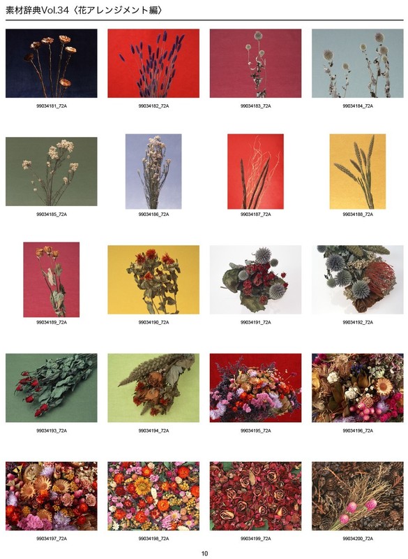 Flower Arrangements Sozaijiten Vol.34 Japan CD-ROM Mac Windows HR-SJ34 R5 gallery