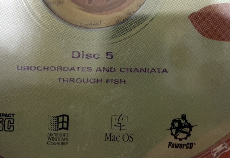 The Animal Kingdom CD 10 Disks 8 Of 10 Disks New & Sealed VTG Merriam Webster gallery