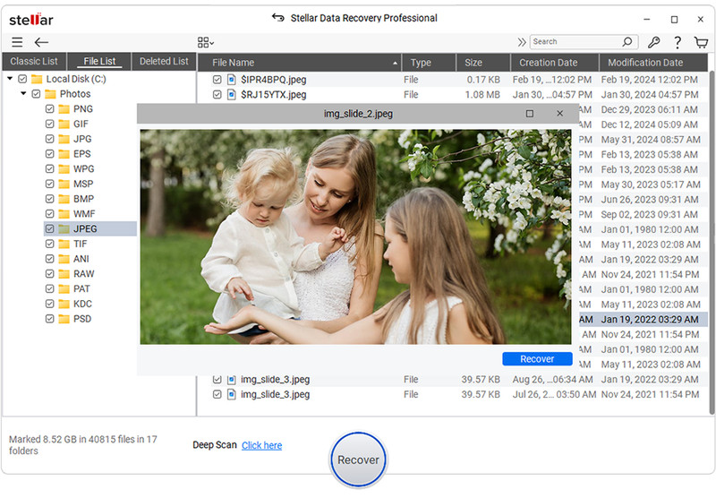 Stellar Data Recovery Professional for Windows | Email Delivery | Download gallery