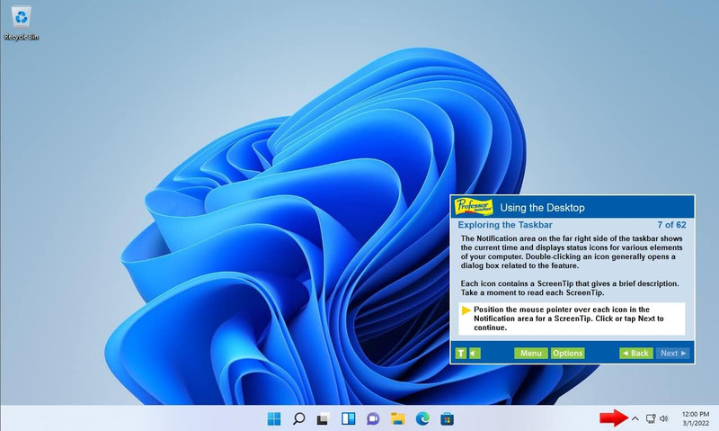 Professor Teaches Office 2019 & Windows 11 Computer Training - Software for Micr gallery